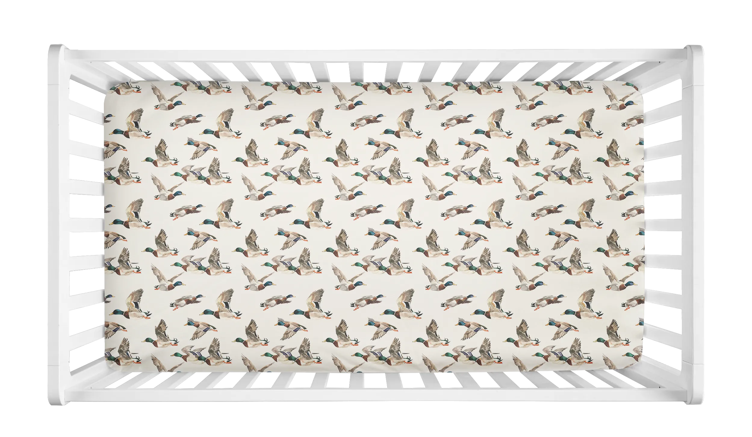 CRIB SHEET - MALLARD DUCK